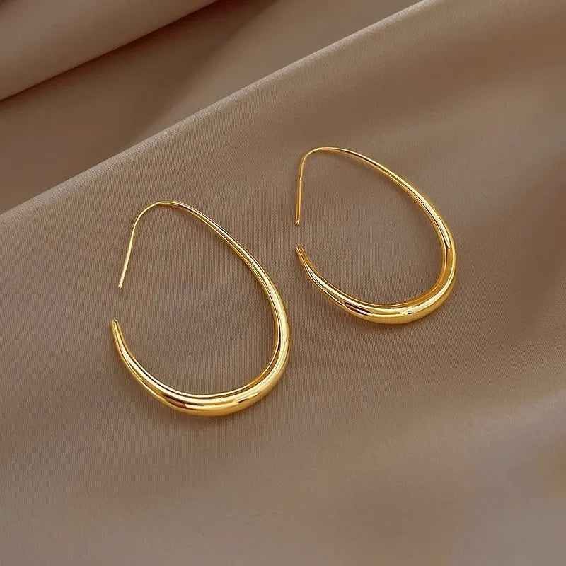 Needle Oval Hoop Earrings Fit4ABoss™